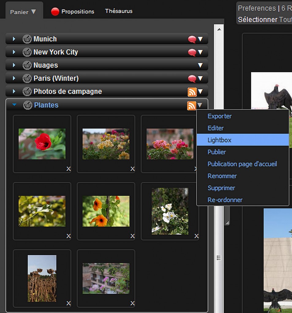 Panier de Phraseanet